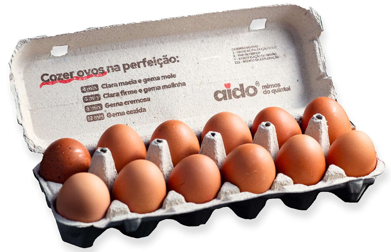 Embalagem aberta de ovos do solo