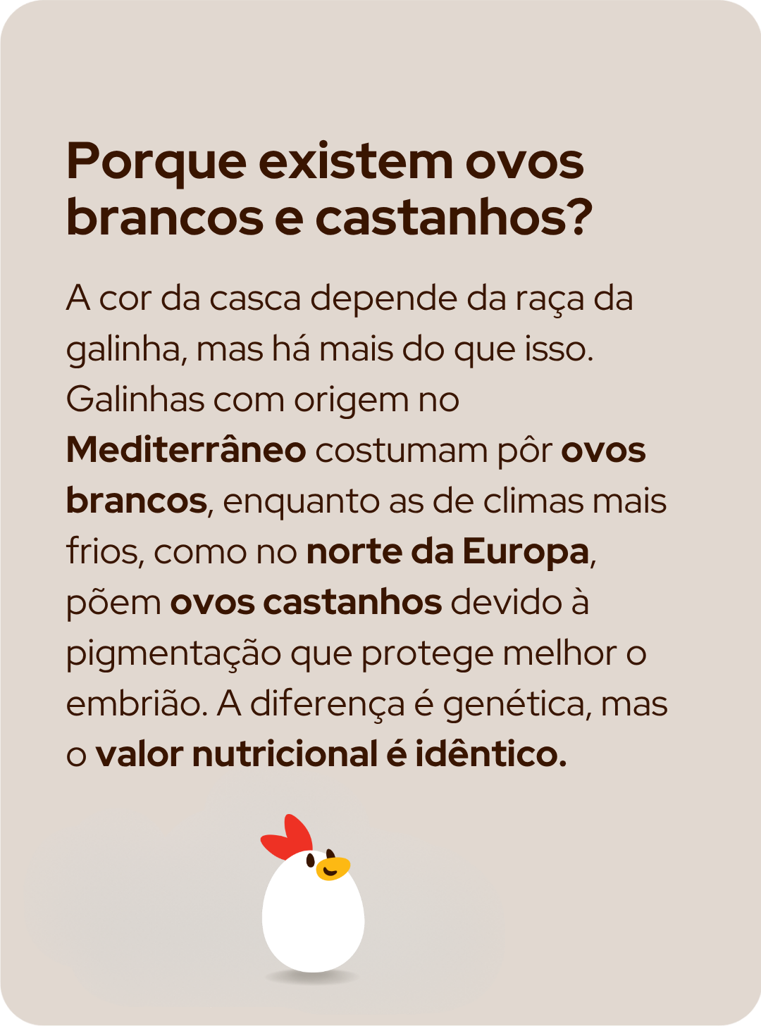 Informação sobre ovos 3