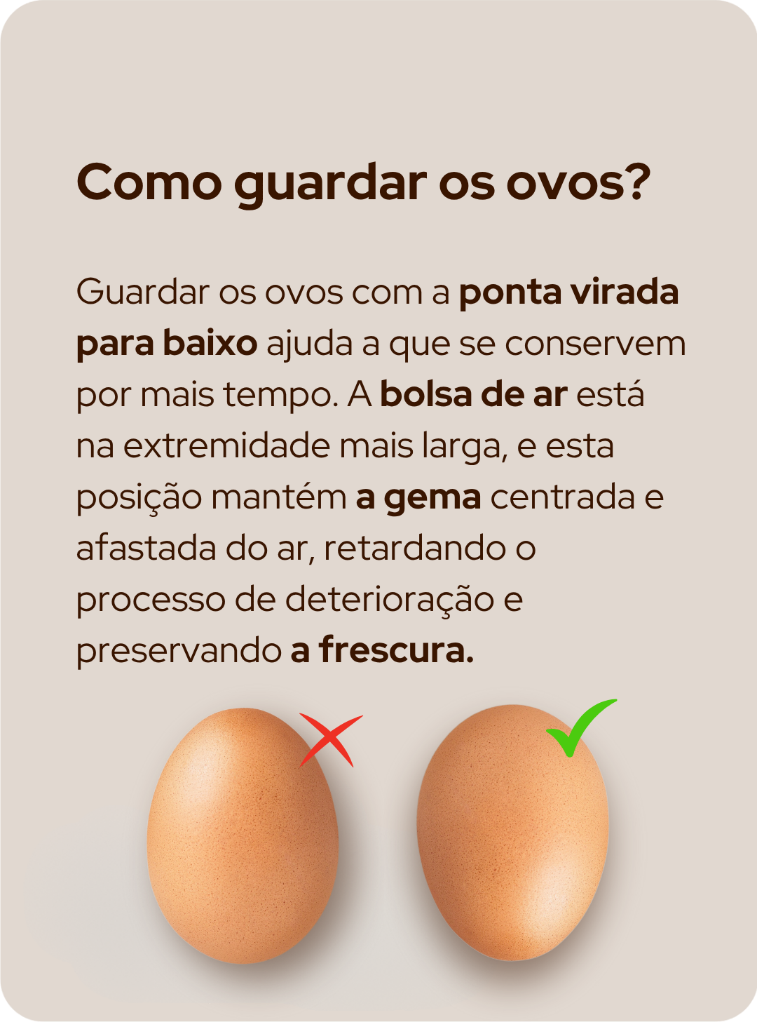 Informação sobre ovos 4