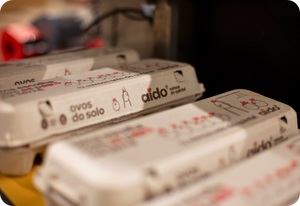 Casa do Aido
